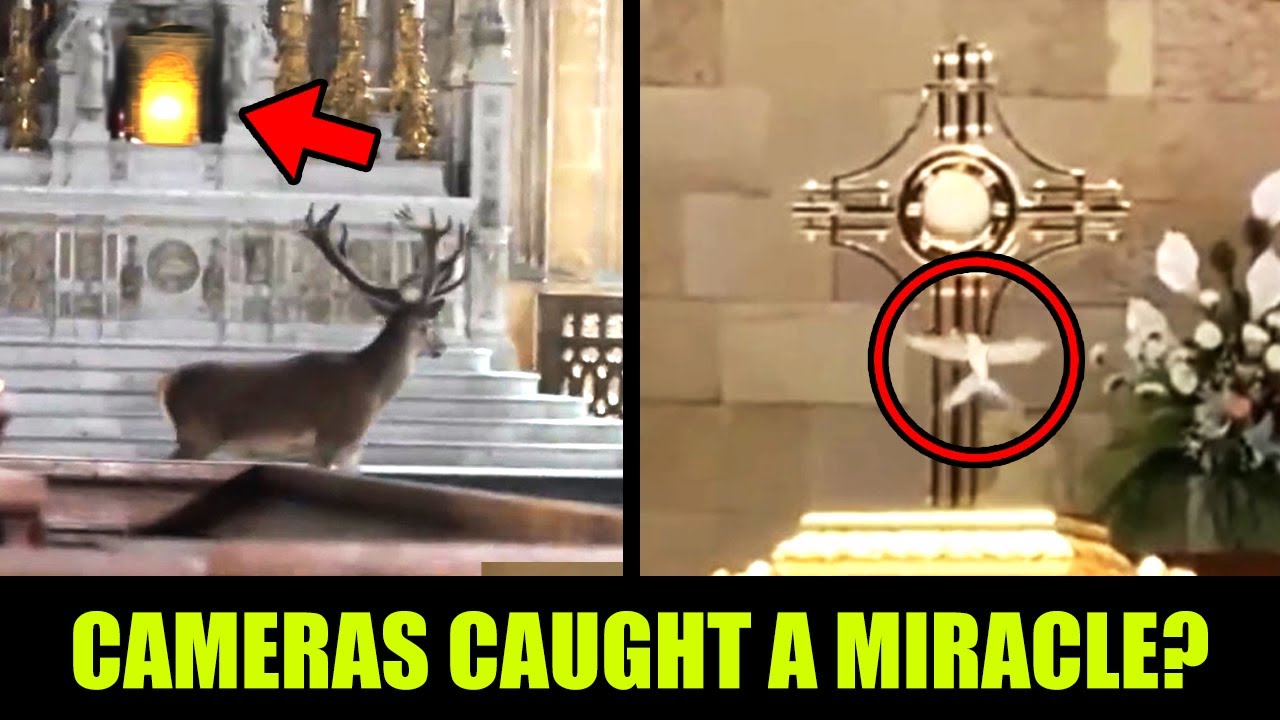These Eucharistic Miracles Left Scientists Speechless!