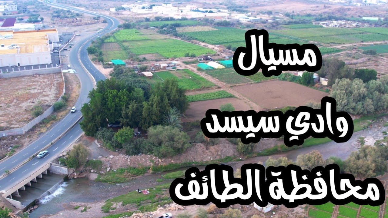 مسيال وادي سيسد - محافظة الطائف - منطقة #مكة_المكرمة #السعودية 4-5-1446