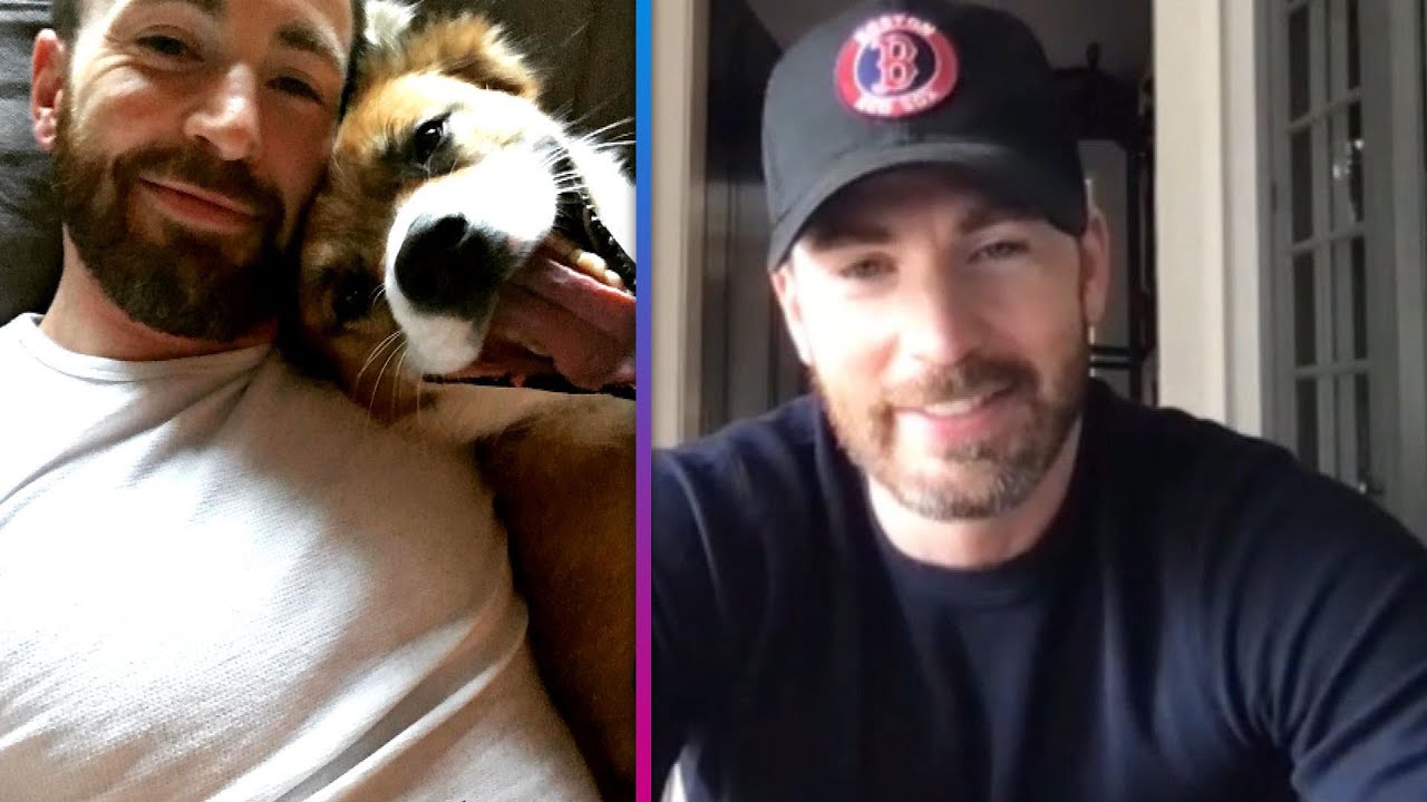 Chris Evans Reveals ‘Long-Term Partner’: His Dog Dodger! (Exclusive)