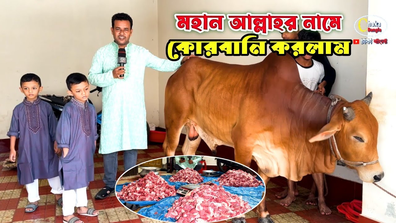 ঈদের দ্বিতীয় দিনে আল্লাহর নামে কুরবানী করলাম! আমাদের কোরবানি 2023