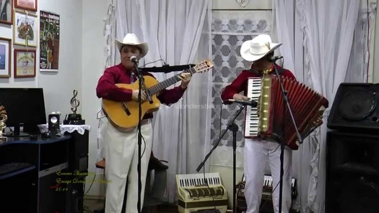 Ensayo Debajo Del Puente - Erasmo Manriquez