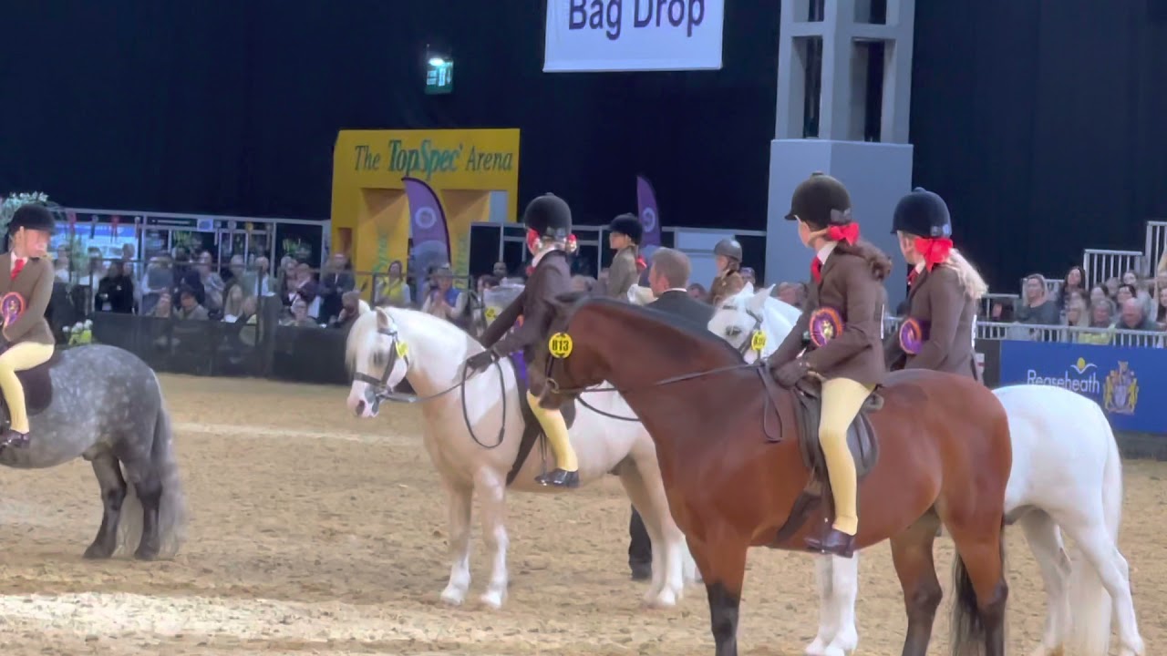 HOYS 2021 Thistledown FunFair, Indy & friends