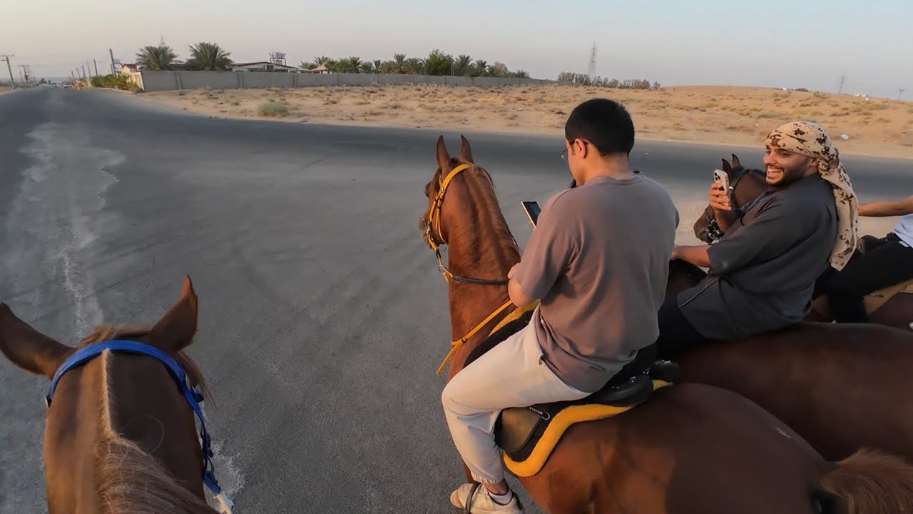 ٧ || ركوب مع منظر الغروب + تشغيل الخيل الواقفة! 🌅🐎