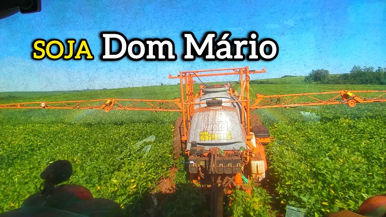 ☑️ Mudando de cor a Soja Dom Mário 66i68!!!
