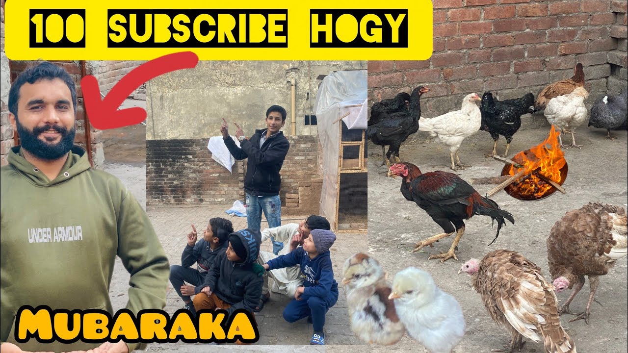 Alhamdulillah ❤️Humare Pet Vlog ke 100 subscribers complete ho gaye 🐶🐱Aap sab ka bohot bohot shukria