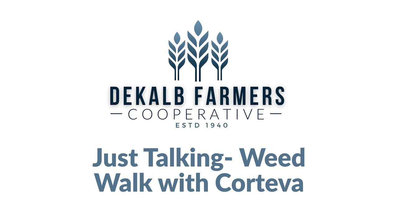 Just Talkin | Episode 5- Weed Walk with Corteva