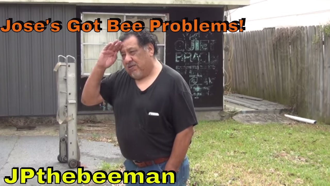 Jose's Garage Is Taken Over By Huge Bee Colony!