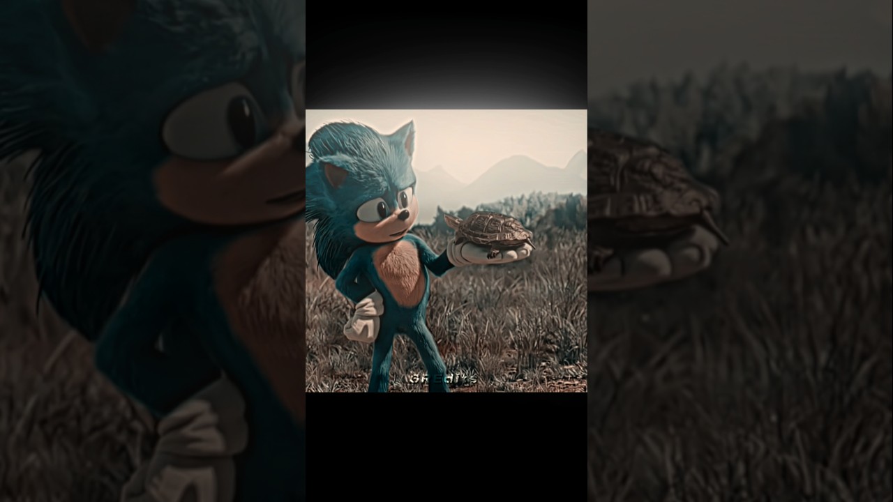 Sonic & Turtle Friendship | Edits | Canto De Luna (slowed)
