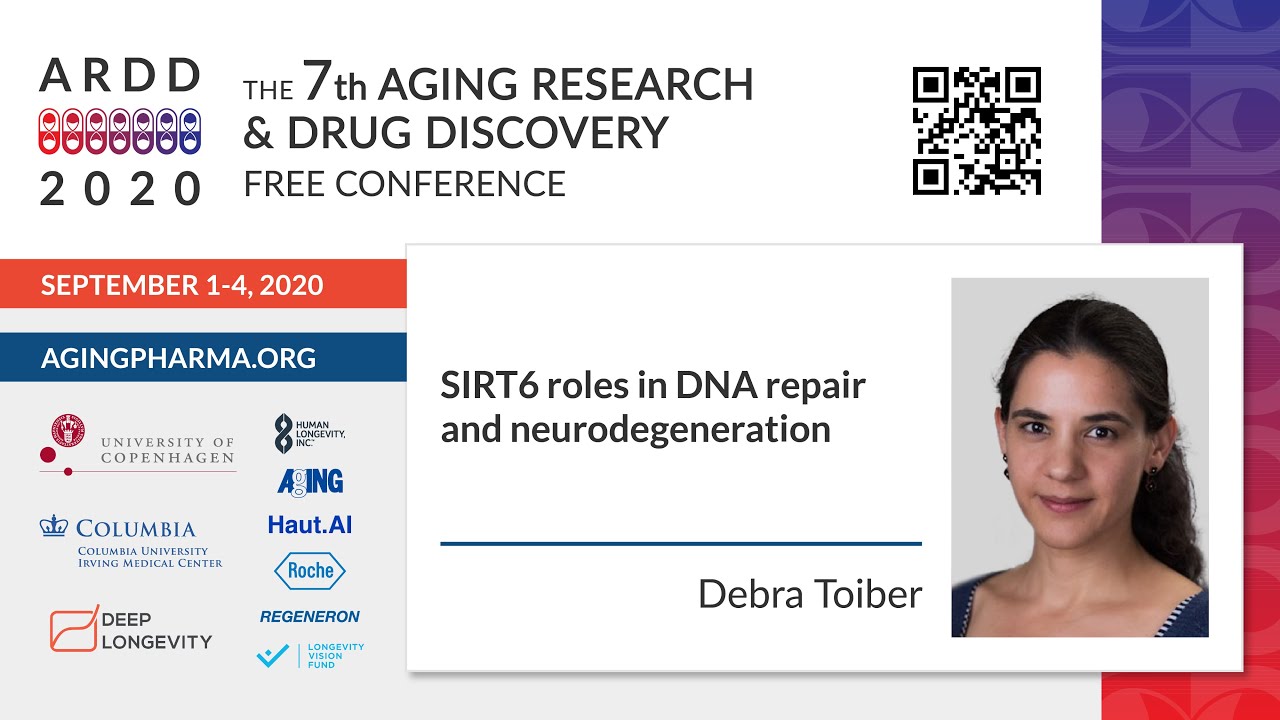 Debra Toiber - SIRT6 roles in DNA repair and neurodegeneration