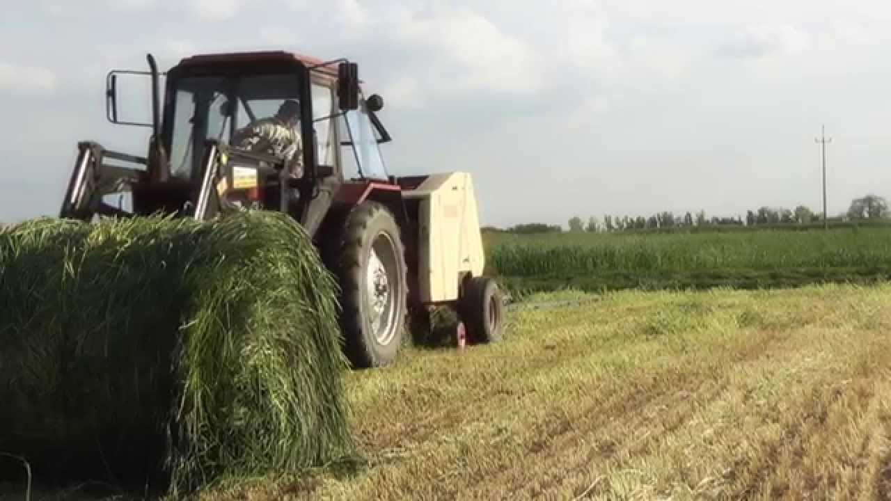 Kiszonka z Żyta ! | MTZ 82 / KRONE KR 125 / Ursus c360 3p |
