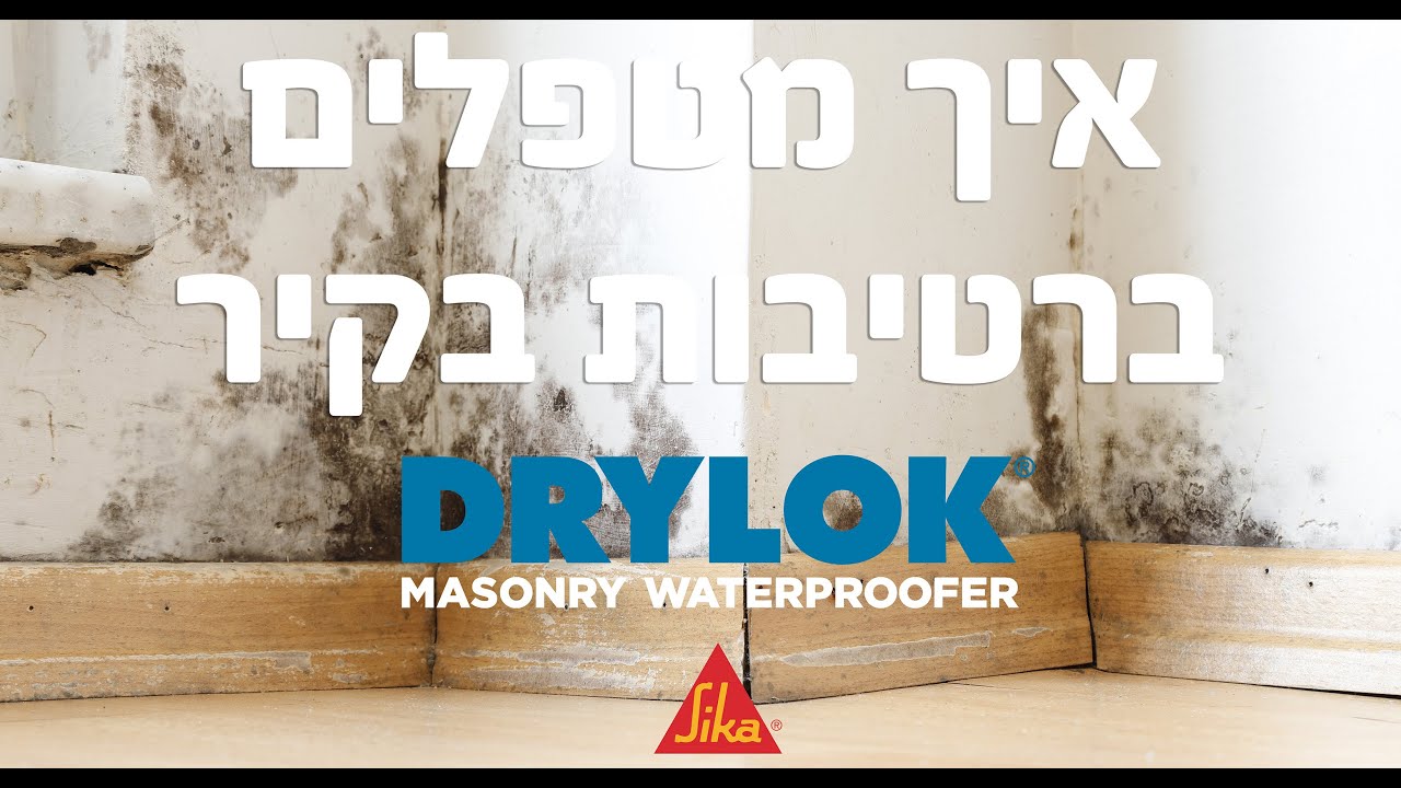 איך מטפלים ברטיבות בקיר?