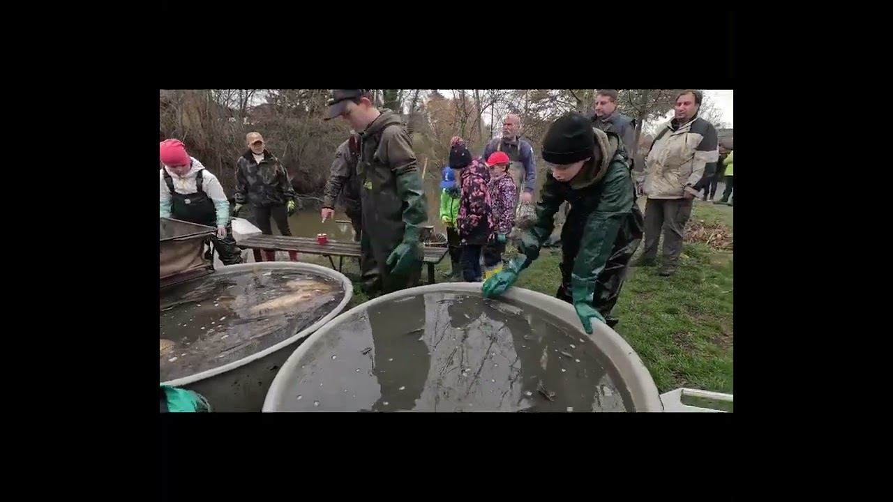 Рыбалка на пруду и ловля большой щуки на открытии 