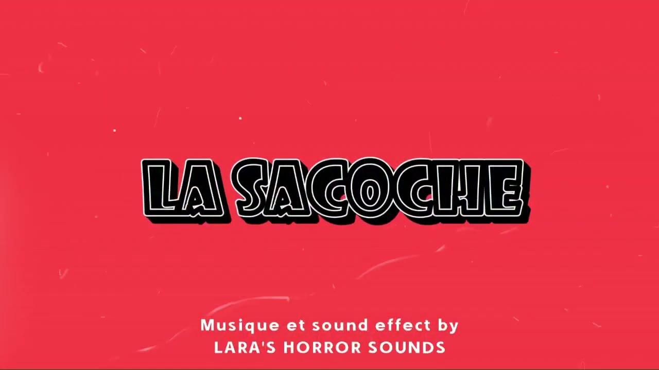 La sacoche-Court m&eacute;trage-StuDio fRiedrich.