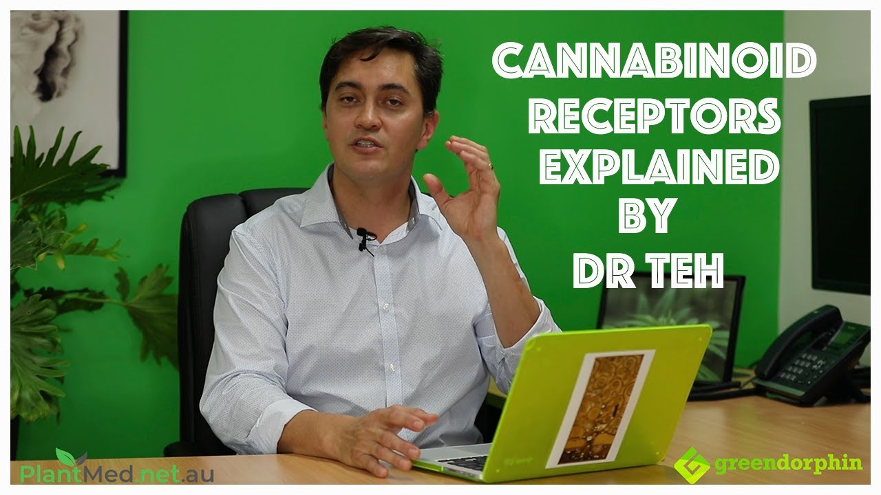 An Introduction to Cannabinoid Receptors by Dr John Teh Cannabinoid Clinician