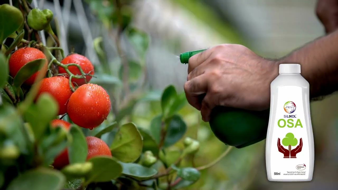 Silixol OSA: A protective shield of your crops
