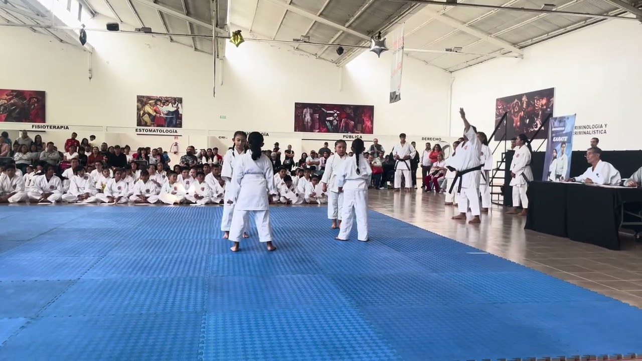 KATA 🥋 karate 1 