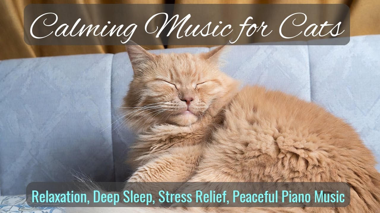 Calming Music for Cats - Relaxation, Deep Sleep, Stress Relief, Peaceful Piano Music | Season 73