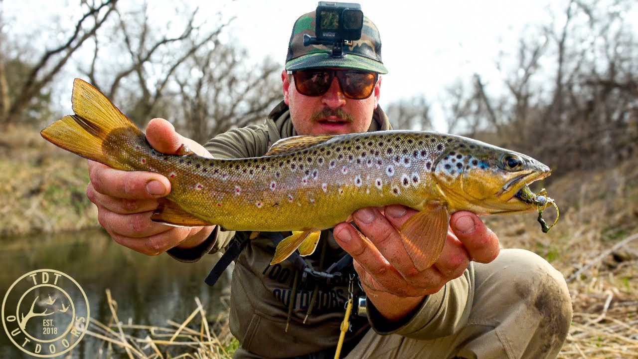 EXTREMELY AGGRESSIVE Brown Trout ⎮Driftless Minnesota Trout Fishing