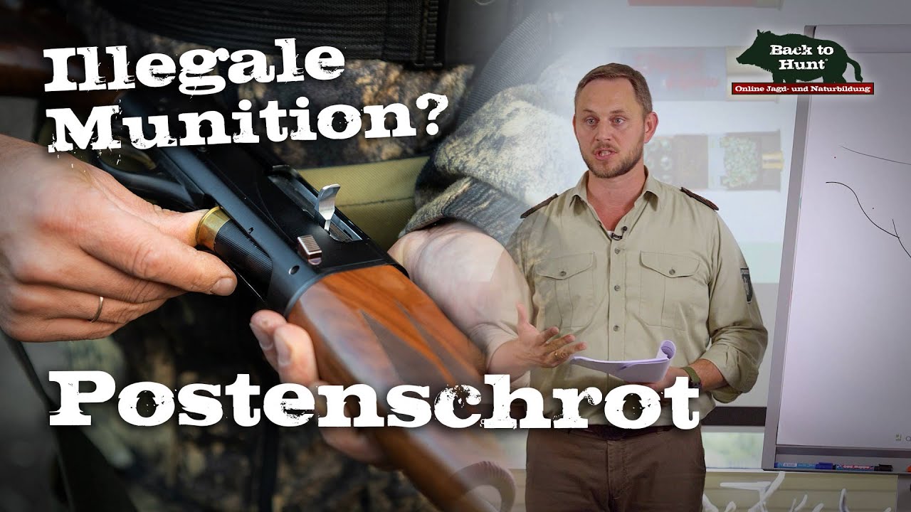 Illegale Munition? Wie man Postenschrot benutzen darf