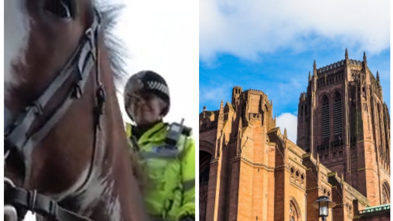 Mounted Section Came For Me At Liverpool Cathedral 🤣🐎🐴👮‍♂️🚔