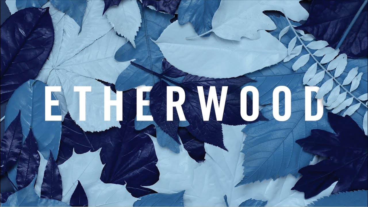 Etherwood - For A Time I Was You