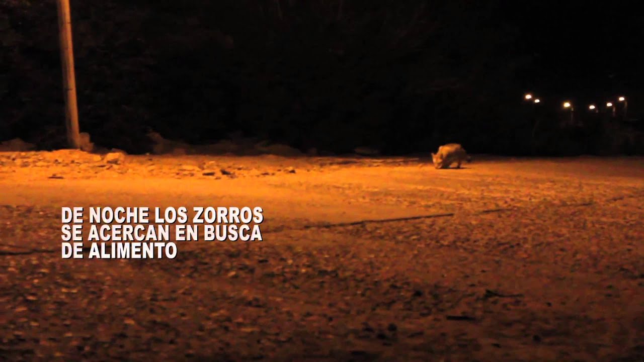 CATAMARCA, LA DESCONOCIDA DEL NOA (ARGENTINA)