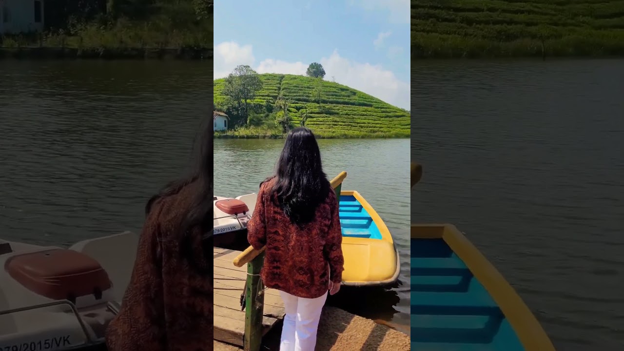 Tea Lake Vagamon #kerala #serenity #tealake