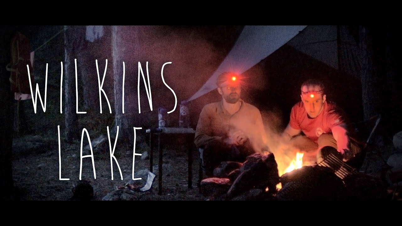 Wilkins Lake | Algonquin Park | Backcountry Canoe Camping with a Dog