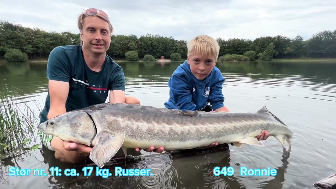 2023 Familien Bryld’s debut med størfiskeri i Danmark.