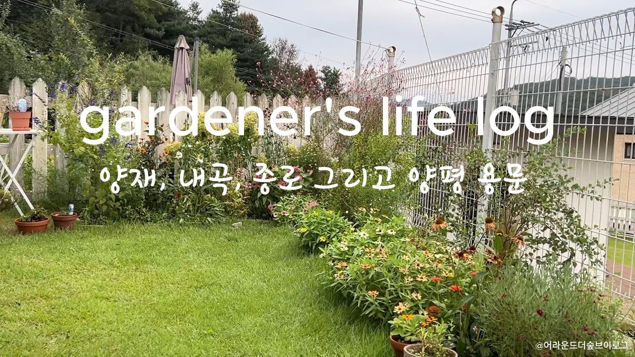 꽃쇼핑을 봄부터 차곡차곡 어디서 했는지 알려드려요 /자주가면 단골이 되고 서비스는 따라와요
