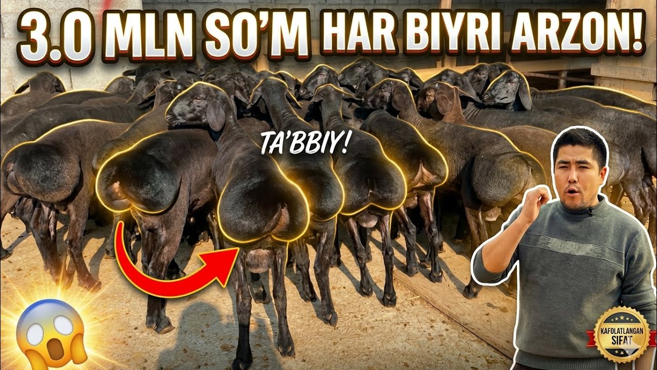 3-MLN DAN HALQ MAZZA QILSINMANASHU SOZNI YOZ BETIGA