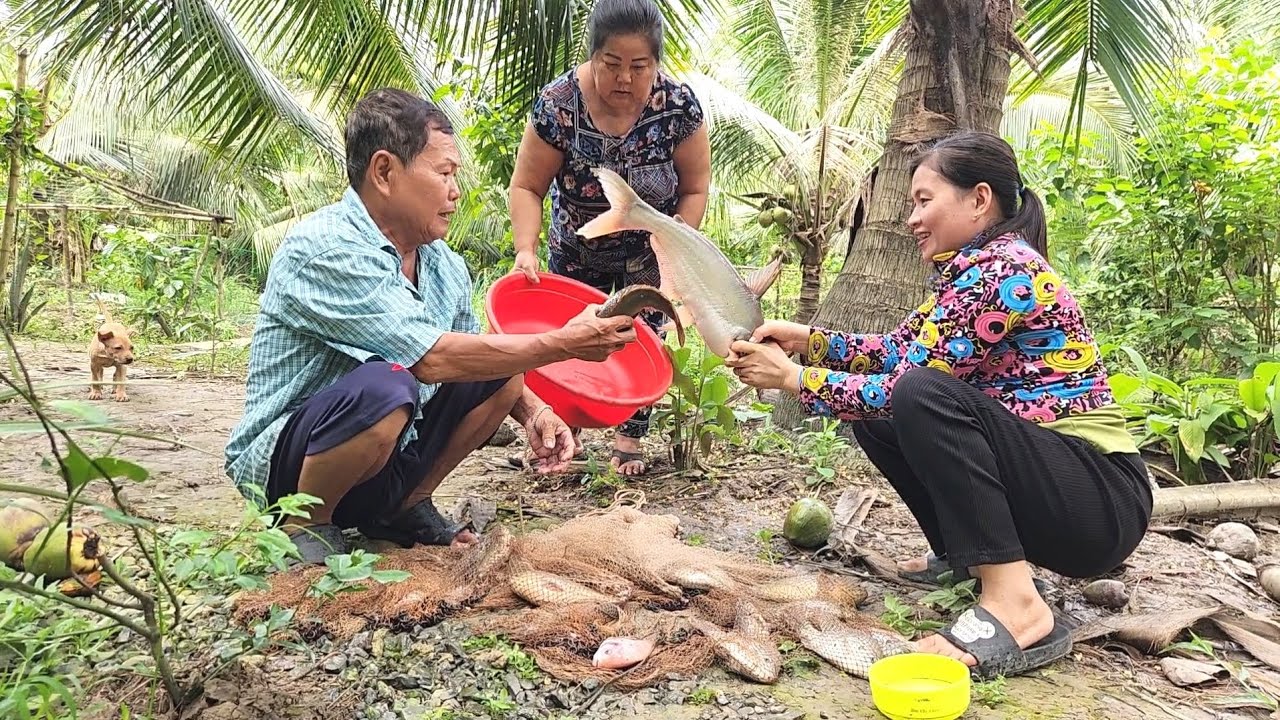 Phát Hiện Bầy Cá Nổi Đầy Mương Hai Cha Con Quăng Một Chài Rinh Không Nổi | TKQ & Family T1849