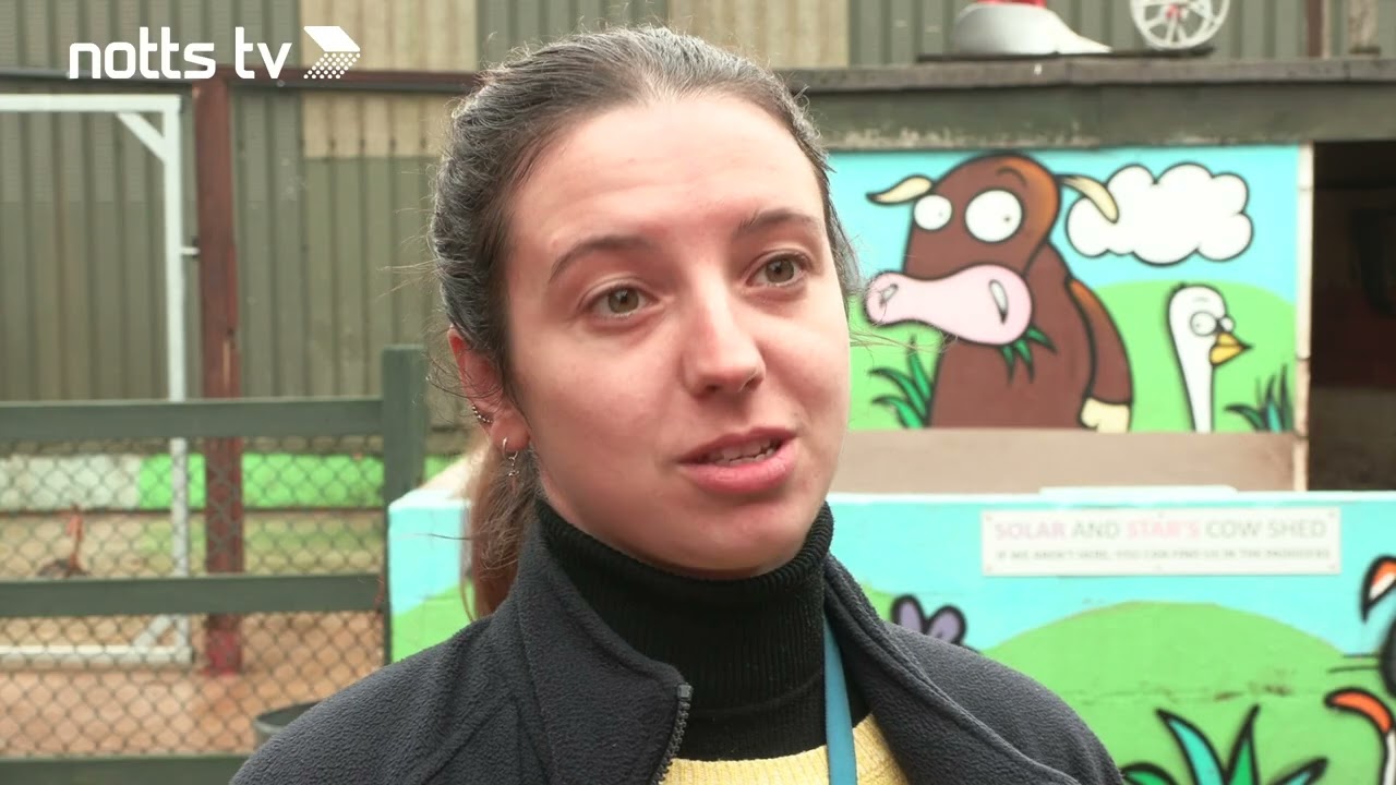 Nottingham farm is looking after a red footed tortoise which has been given a specialist habitat