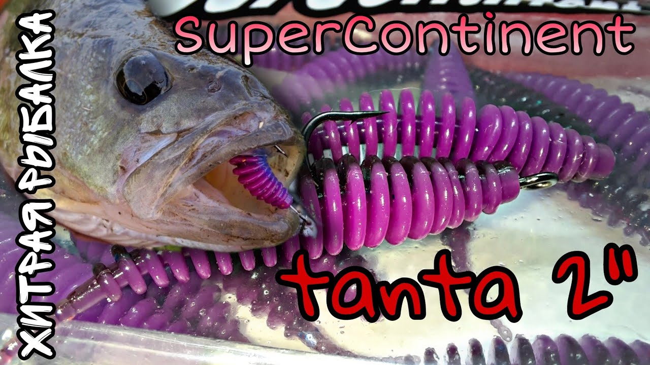 Хитра tanta с AliExpress SuperContinent дешёвые не значит плохие силиконовые приманки тест под водой
