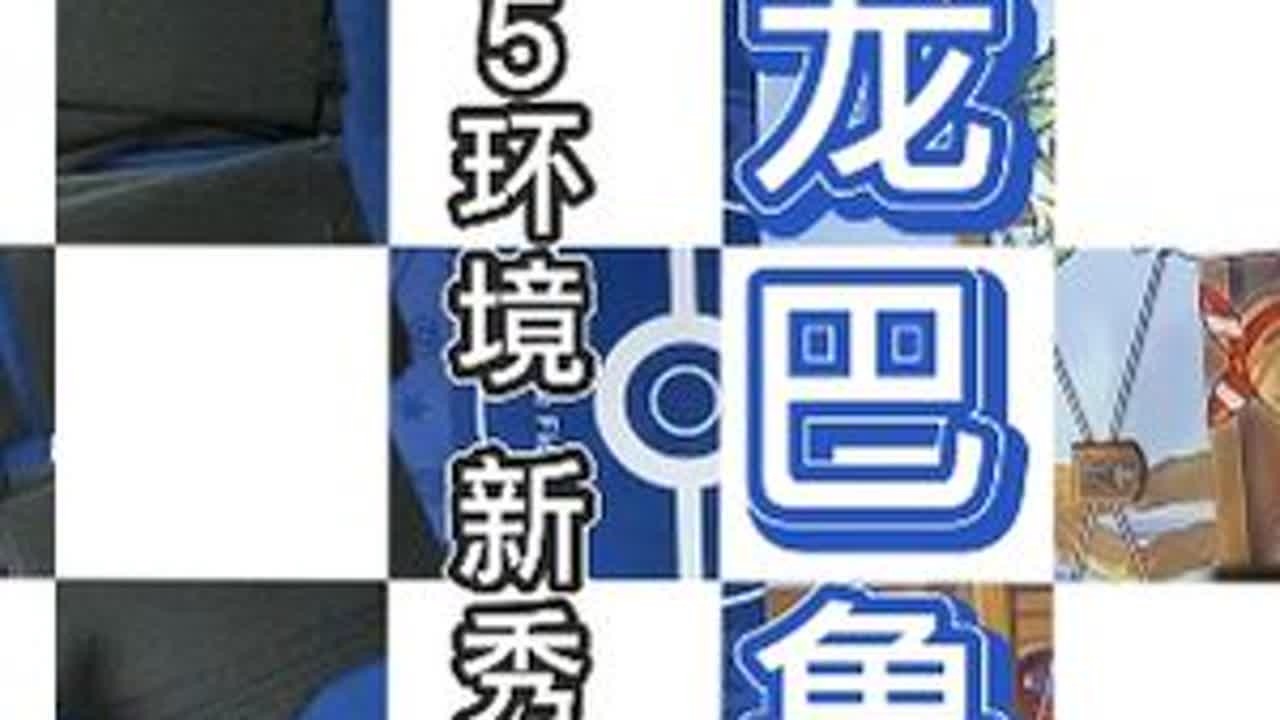 3.5新秀多龙巴鲁托登场！！！！