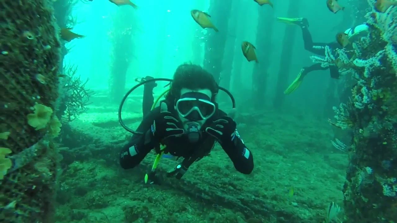 Diving Busselton Jetty