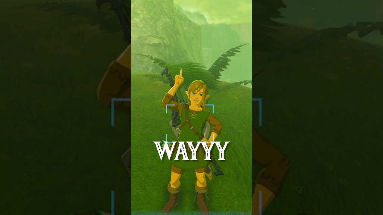 Вы поймете, что СЛИШКОМ МНОГО играли в Zelda, когда... |Botw|