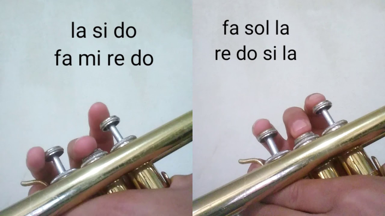 Gema en la trompeta.