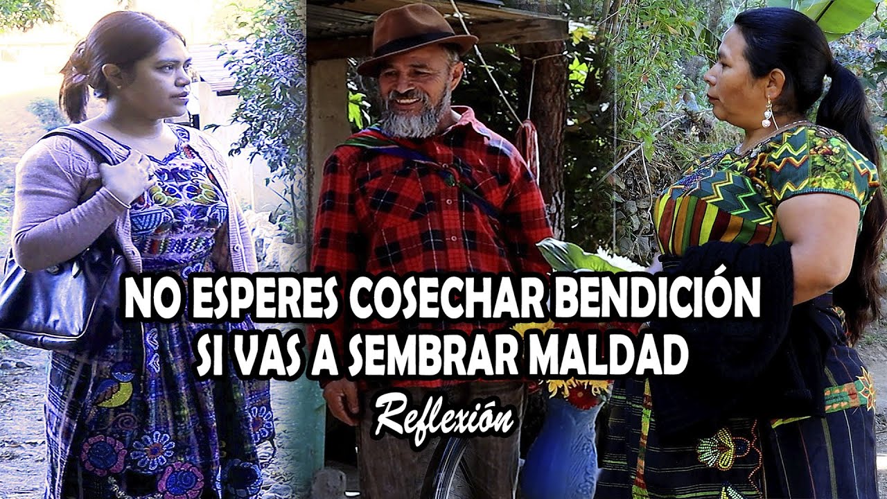 NO ESPERES COSECHAR BENDICIÓN SI VAS A SEMBRAR MALDAD Reflexión