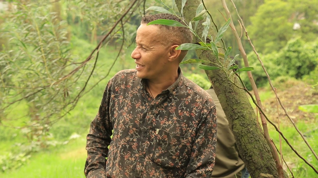የጀርባ ቀን