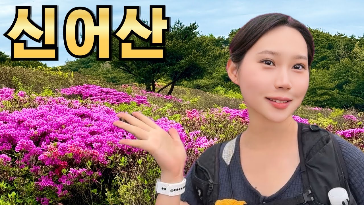 김해 신어산 철쭉 개화 현황 5월 l 5/11 철쭉 축제 전 미리 다녀왔습니다 l 은하사 ~ 신어산 정상 ~ 철쭉군락지 ~원점회귀 코스