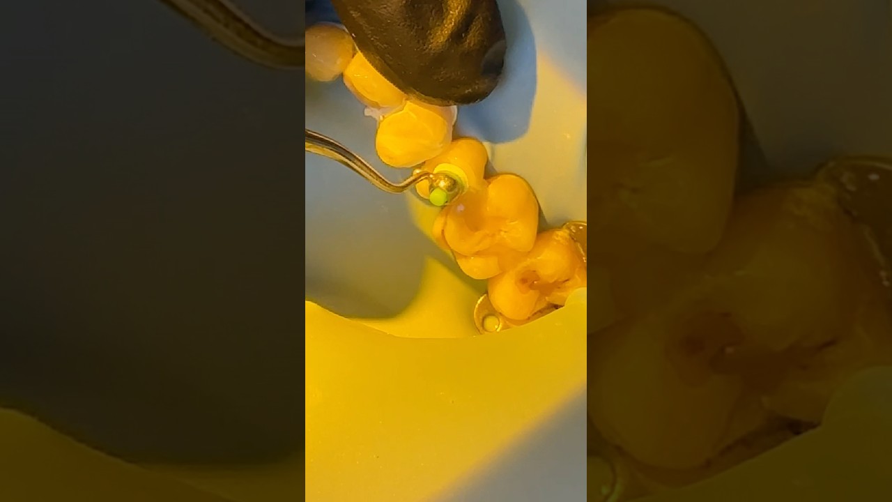 Mastery in Dentistry Starts Here 🦷✨