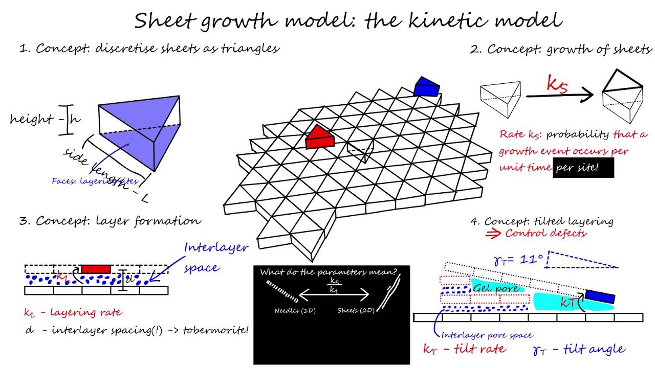 Sheet growth model for the meso structure of calcium-silicate-hydrate (C-S-H)