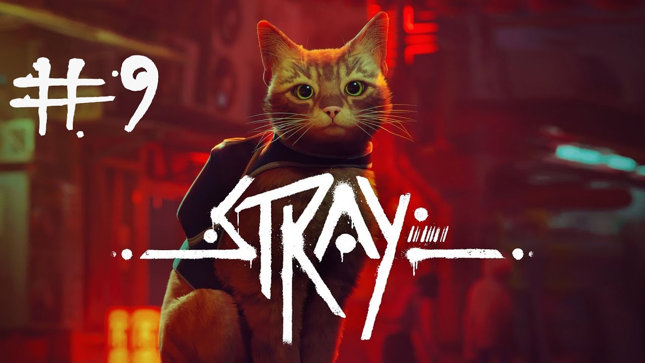 Stray #9 Zdrada!