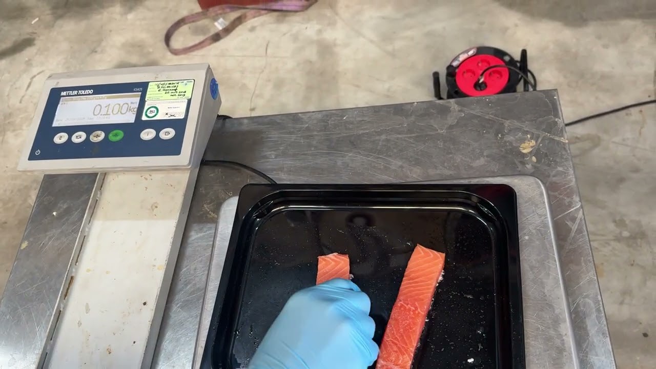 Marel I Cut 130 Portion Cutter test with salmon