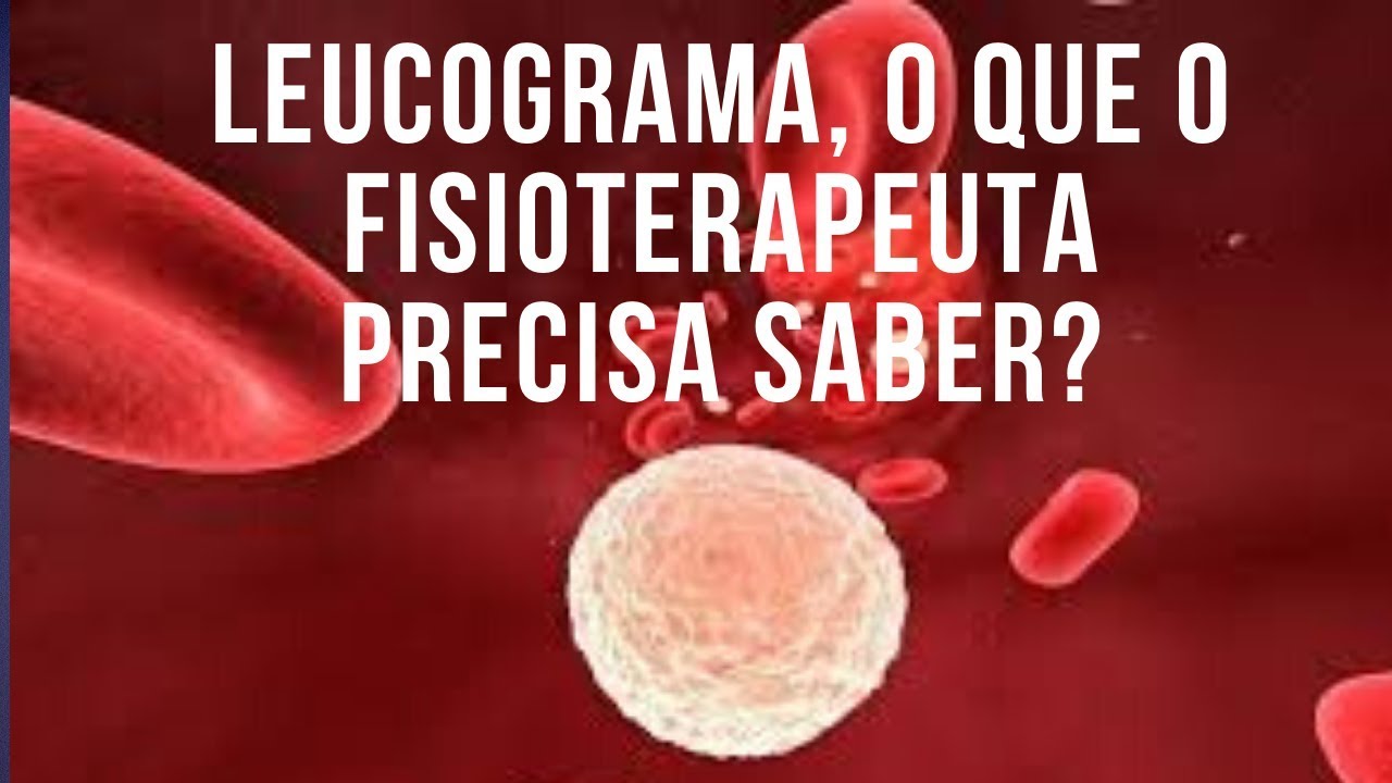 Leucograma, o que o fisioterapeuta precisa saber? ➕ Na descrição