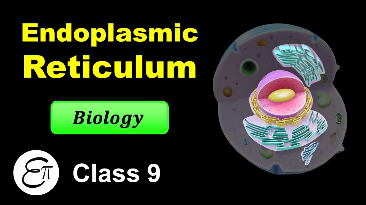 Endoplasmic Reticulum || The Fundamental Unit of Life - 9 || for Class 9 in Hindi