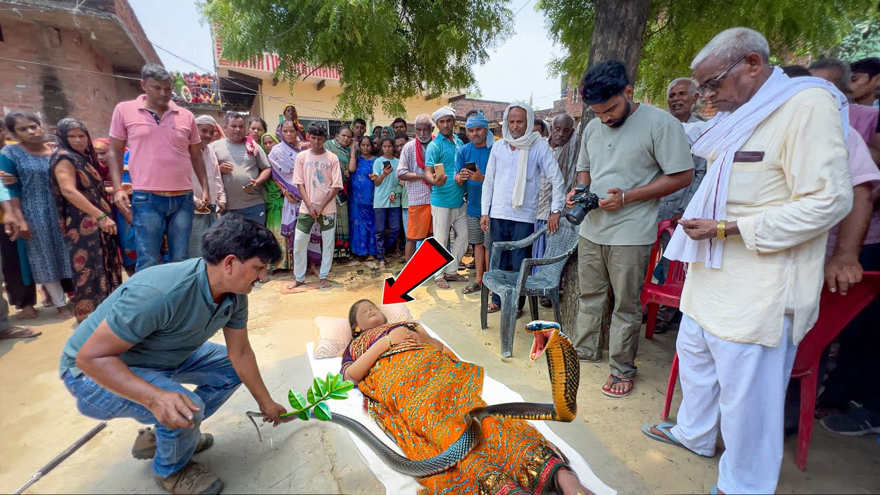 Cobra साँप काटने से एक और महिला की गई जान ! घर वालों ने साँप से ज़हर वापस खिचवाने का किया प्रयास ।