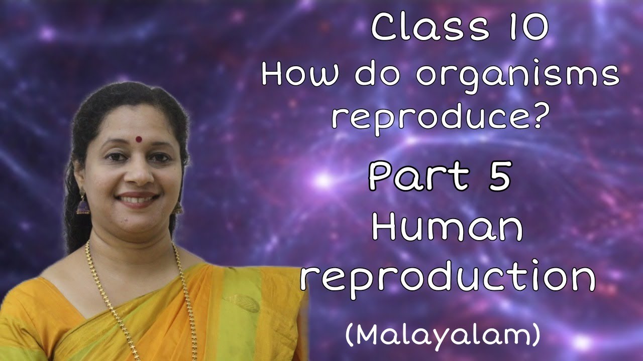 CLASS10: HOW DO ORGANISMS REPRODUCE? (MALAYALAM): PART5: HUMAN REPRODUCTION