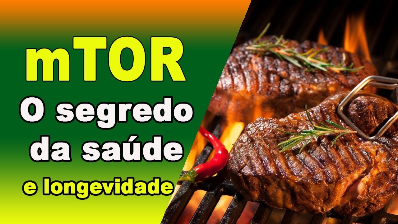 O segredo para a sa&uacute;de tem um nome, mTOR